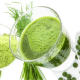 Green Gem Chlorella 450 Tablet 1 Aylık Green Gem Chlorella 450 Tablet 1 Aylık
